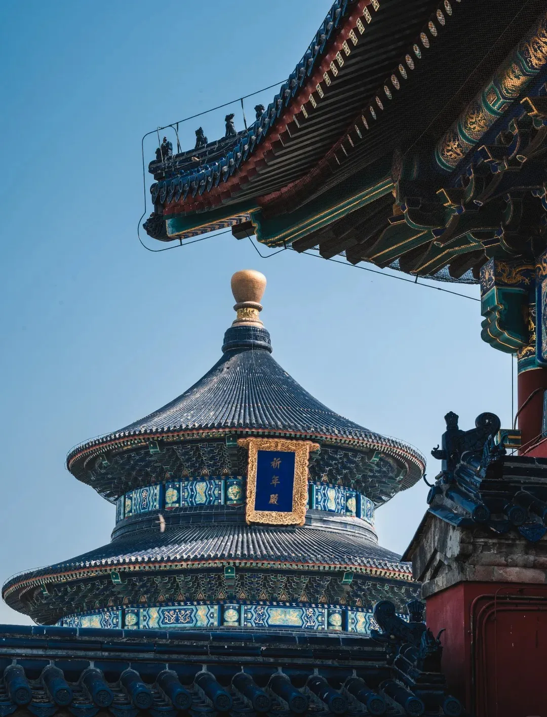 8c7f02eb96070217a645393d16a59263-sz_425701