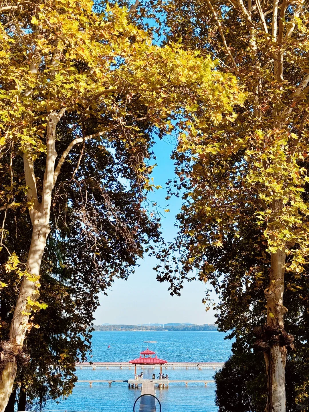 8d1e231375fe32c5349f4c7061d3c561-sz_3804591