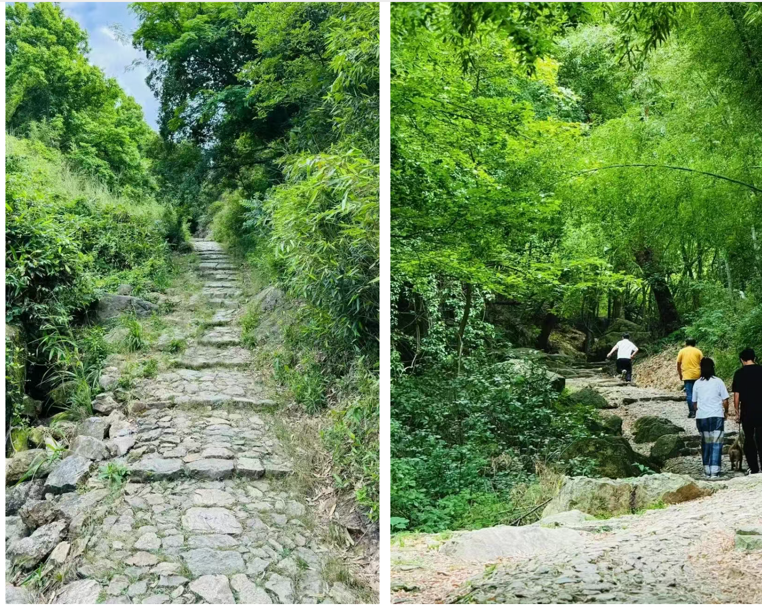 8d28639617c27b2f0325463bdbde8b6b