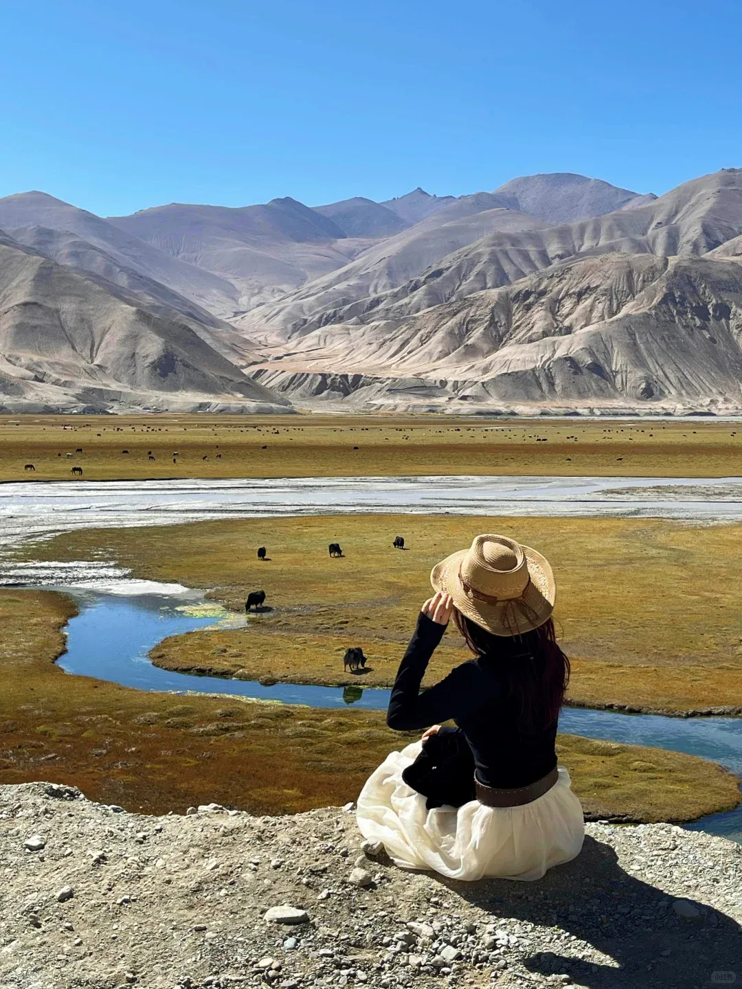 8d564d87408a6c73c7a4608b02653bfc-sz_3020997