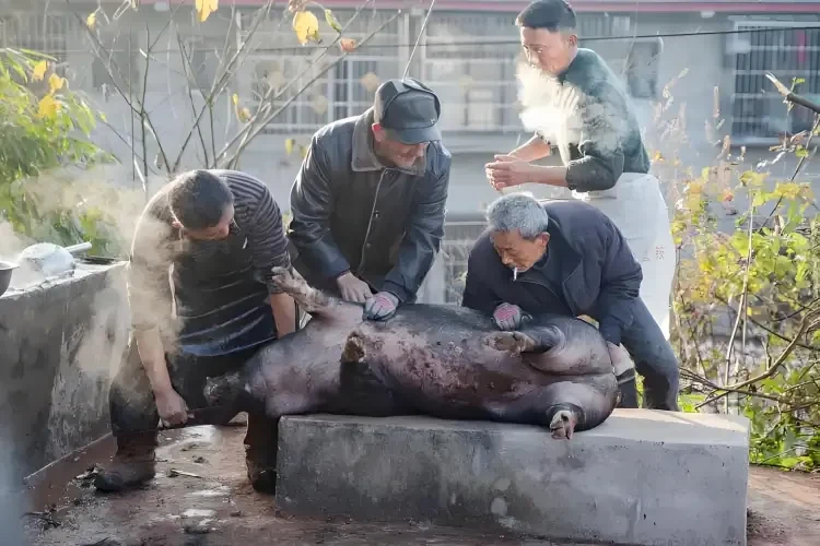 8d58f00a7e4a4a9d1c3545a9361627d0-sz_3088820 8d58f00a7e4a4a9d1c3545a9361627d0-sz_3088820