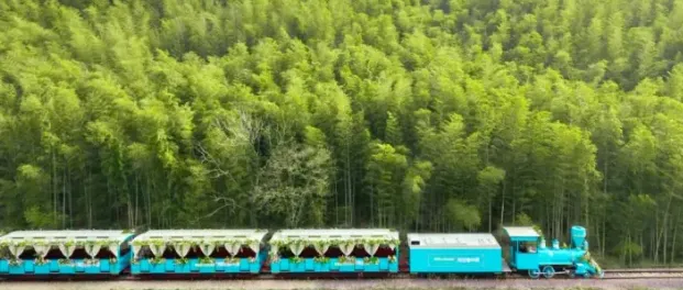 8d93bdaff5f7b5446ec189ec4aef7674-sz_340382