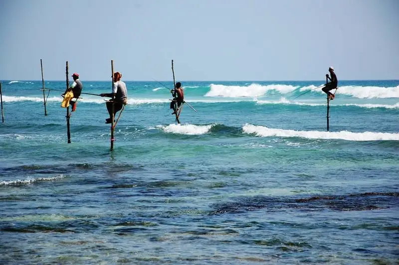 8da2f82cbf3fdcb297da003287e34724-sz_65915-2