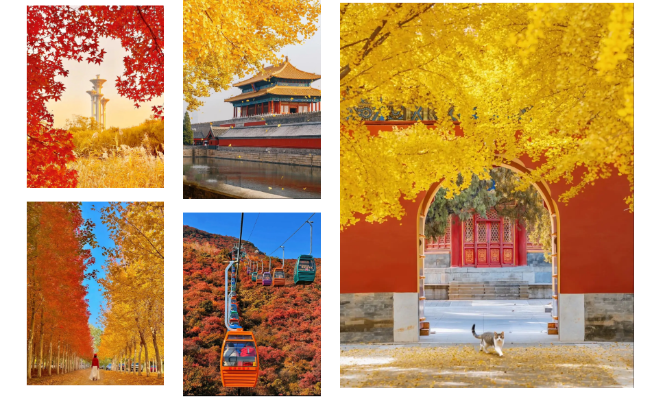 8dfd6273ffa5d30f2eba47c6efbda096