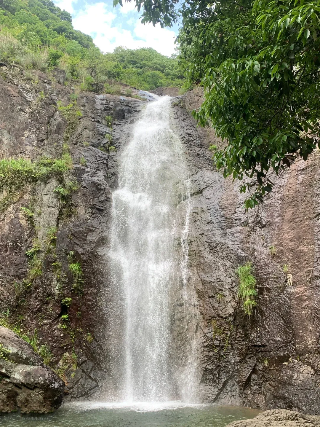 8e05a61e62f02623d22c9a7bb2651409-sz_3384676