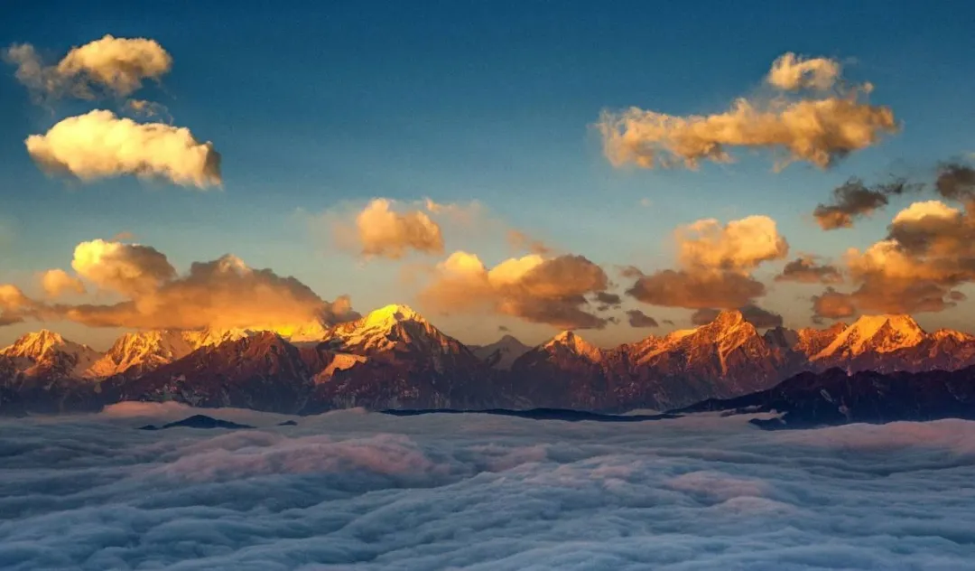 8e1bd1dcc389bbbe5e86ad54c50b1811-sz_219511