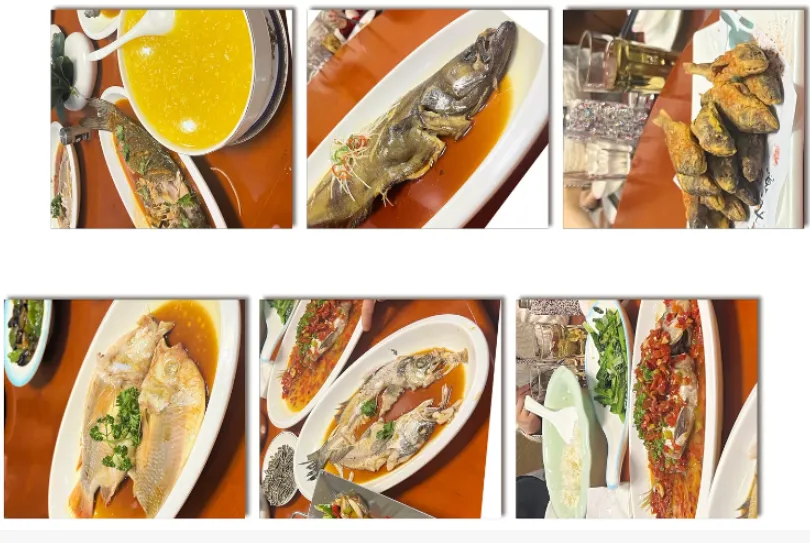 8e41899ffec4d905314d20d030b788ed-sz_895602-1 8e41899ffec4d905314d20d030b788ed-sz_895602-1