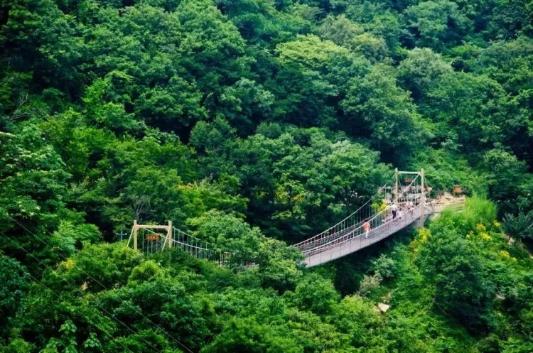 8e52e1ede5e304277d0ceaf5ae7afd3a-sz_261004