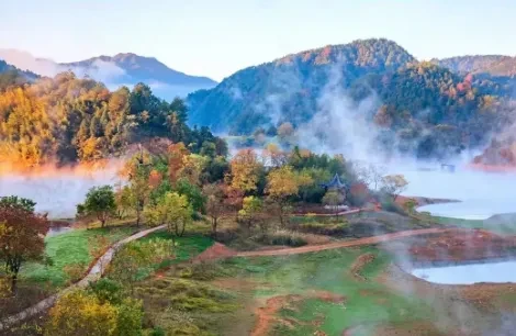 8e7a48d09648005449c4aa5f0e9e49a8-sz_346185