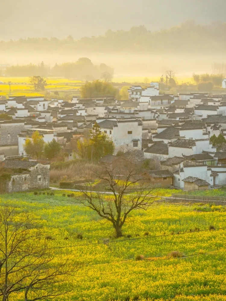 8e986874a087d47bb7dd8143c43b4bd5-sz_3029968