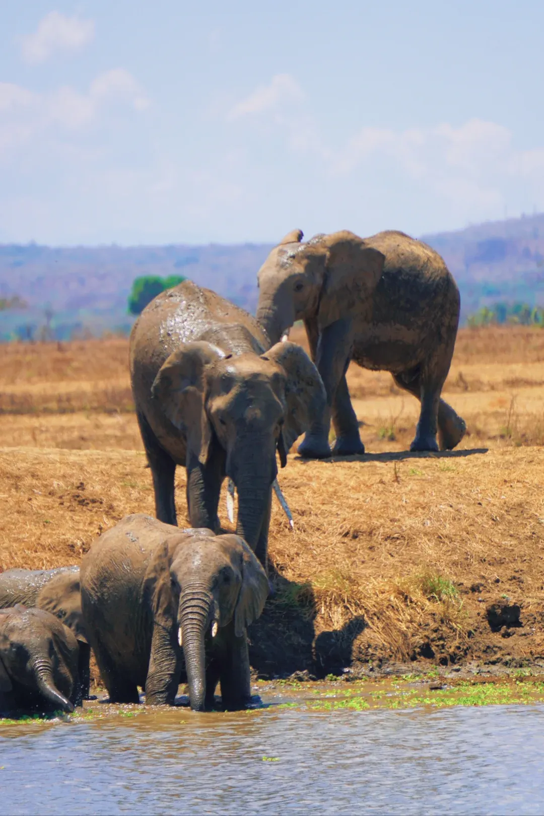 8eac9454ea156c8344d5c3d6f97eb08c-sz_2196941-1