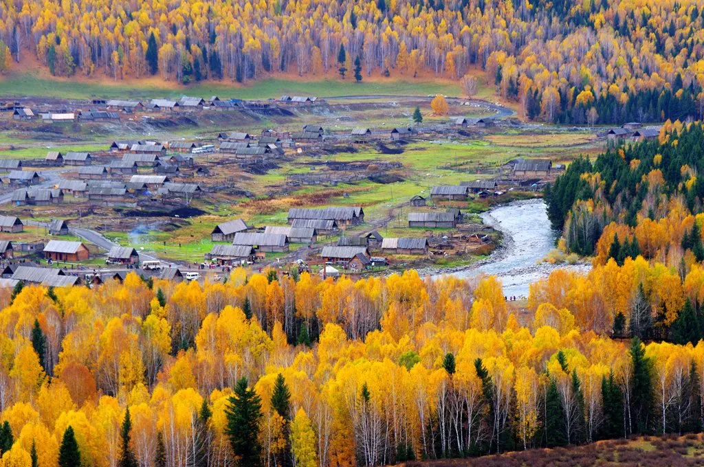 8f10dfb0da98e6c45f1f975f922028b4-sz_248045