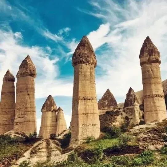 8f34f90593367a3cfcc9c93827d27a12-sz_167332-1