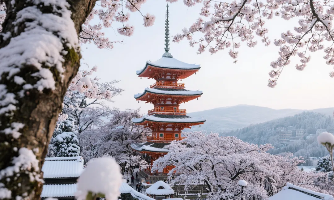 8f4b1dee406dcdfbdf07c5d748627d61-sz_2668946