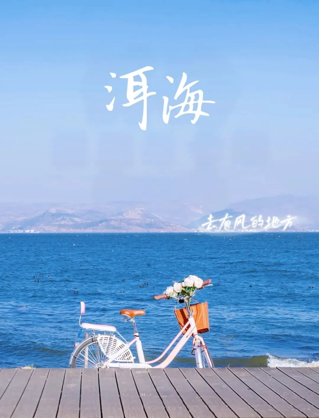 8fe4f0667a11ca83db0dd873d90b0370-sz_149592