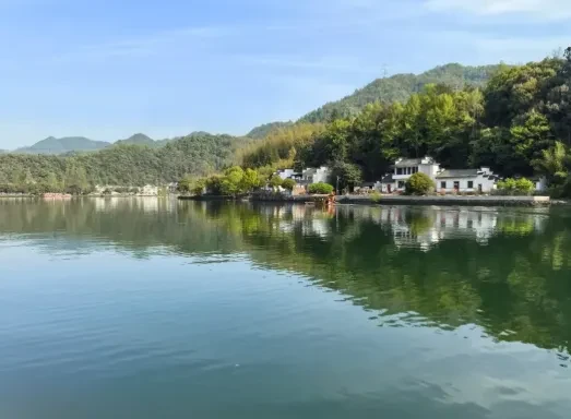 909b8350da52c9f0232f43d639b63767-sz_382676