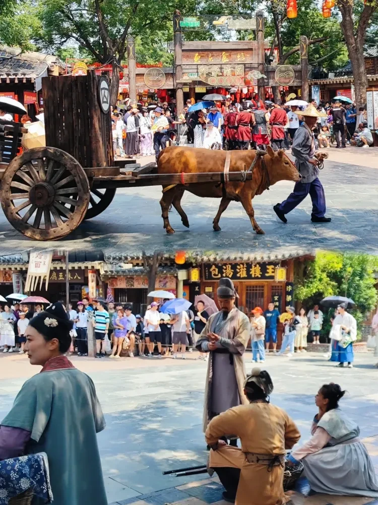 90b956c9624ce4615ad9c4796e1ba94b-sz_3742030