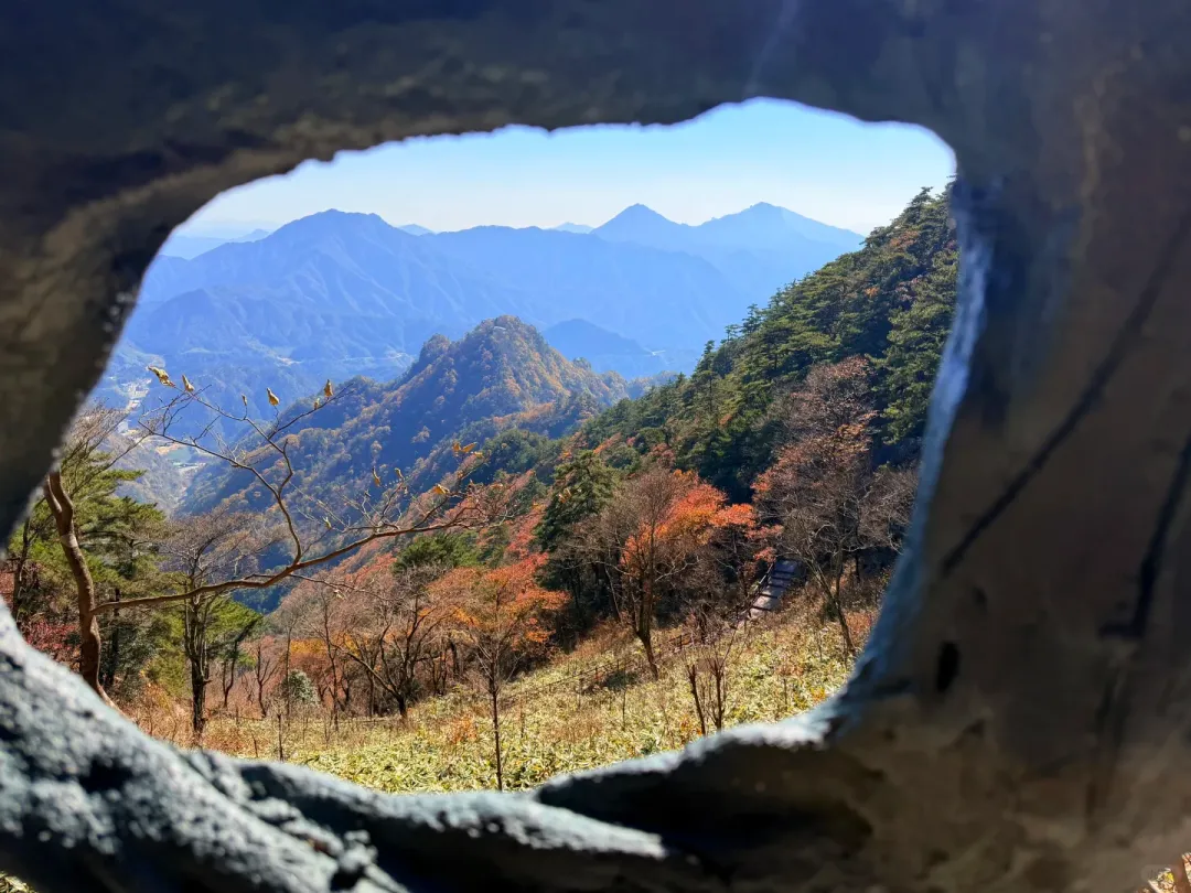 90d6aff91a253792a57373cf6d160764-sz_2196756