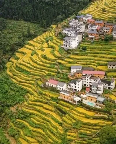 9104a780d7ff91c565d5b43bd2a74587-sz_570715