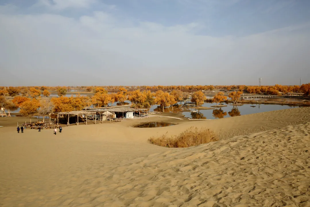 91614ec53035310eb9c909bc7d1e3d74-sz_273896