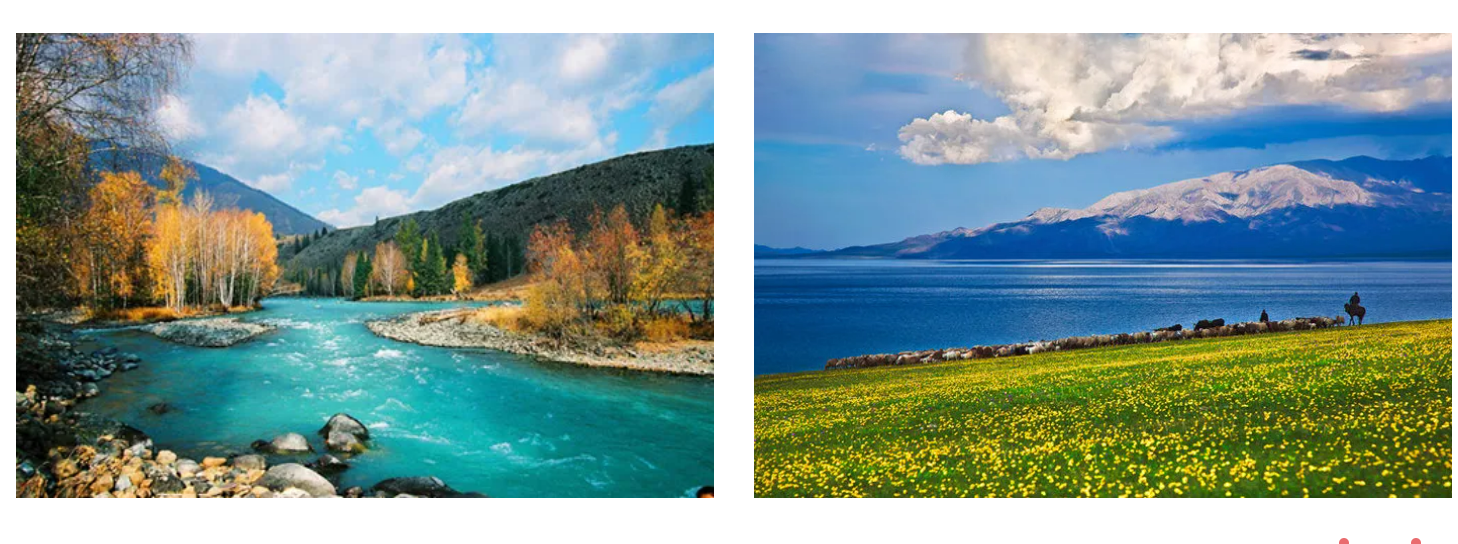 9174734a55ff5b604294f607948f562c