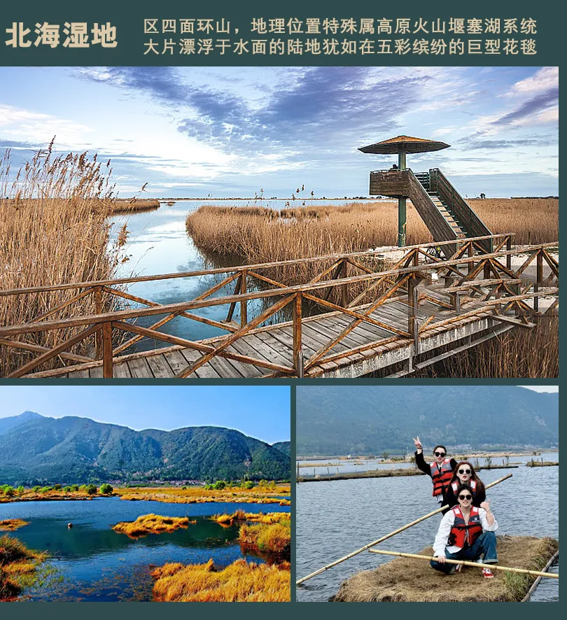 9174d7d658deddf9ea6cb9074076b285-sz_799425