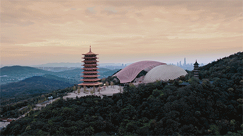 917a4bf4f8f5ac52a295e9dc12887d6d-sz_10177492-1