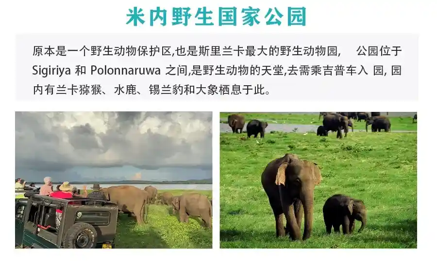 91983c63d679126000ef8cbdd301ab69