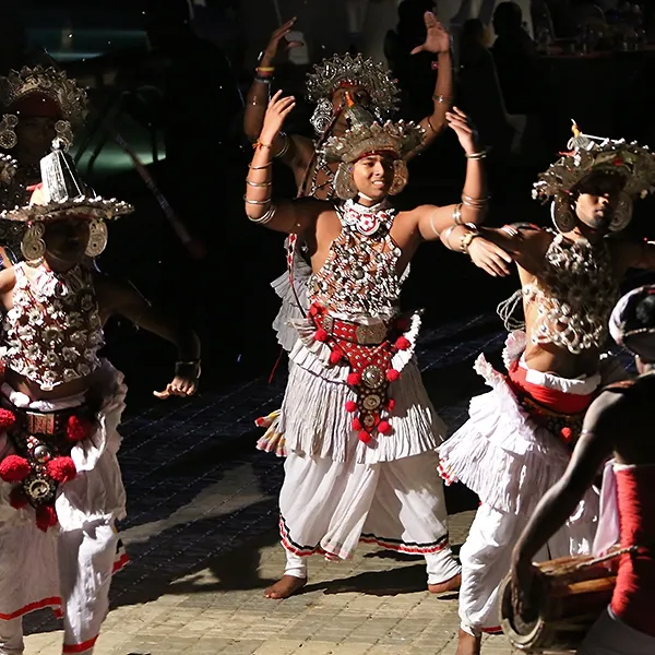 91a53804ee346bb085efe563107da608-sz_494616-2