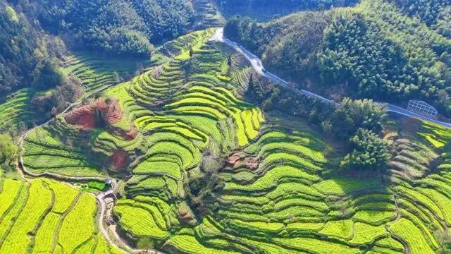 922f3d81bb56b55502478e0549808d3f-sz_81618