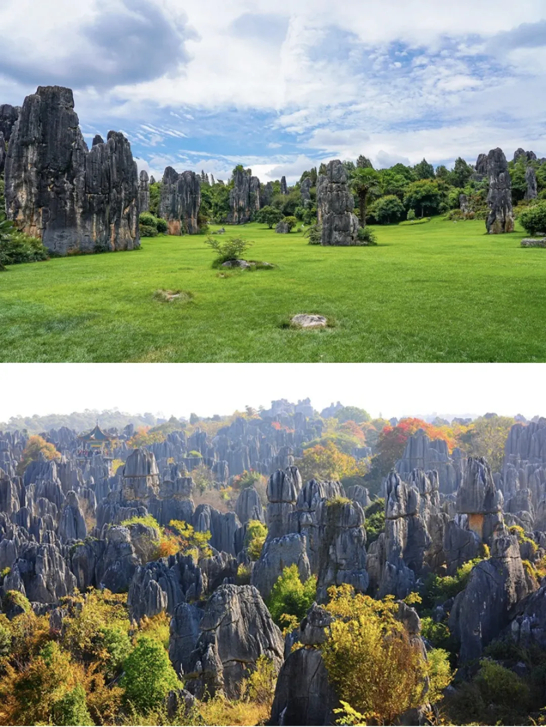 9269137f1a22c19c8911ddcd964308fe-sz_2058406