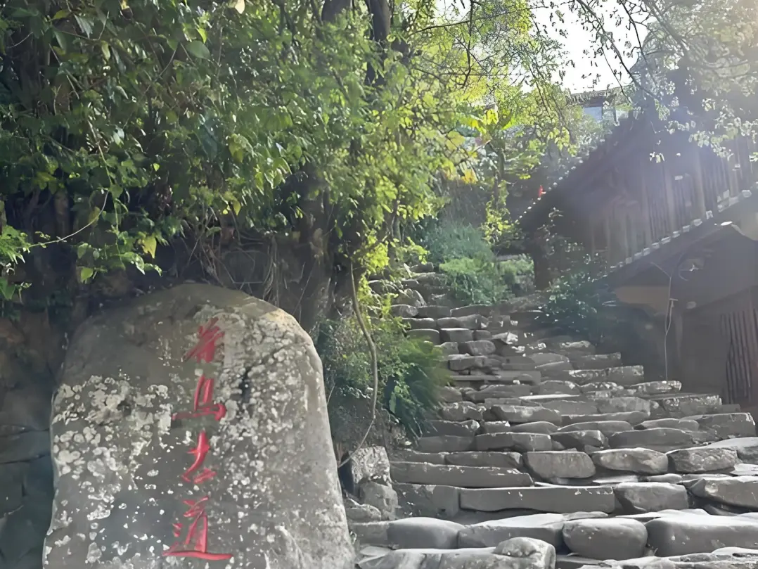 9282bf38d624645195567a2afd9bc274-sz_742767