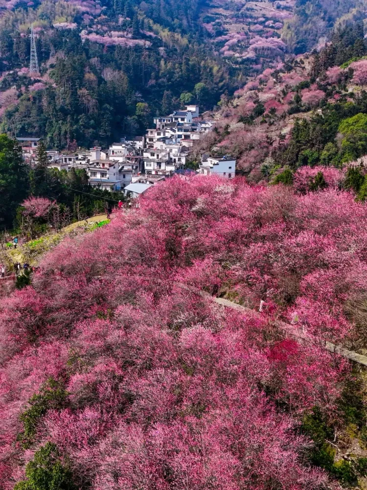 9284846d3986368c31111e21812cd5f2-sz_4439056