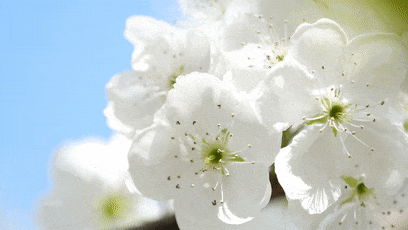 92bc043bc941beb477cff8b3d78af09a-sz_586359-2