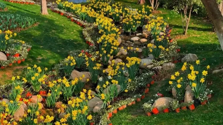 9315b15af924699b6a9b5b45fe50d582-sz_214467