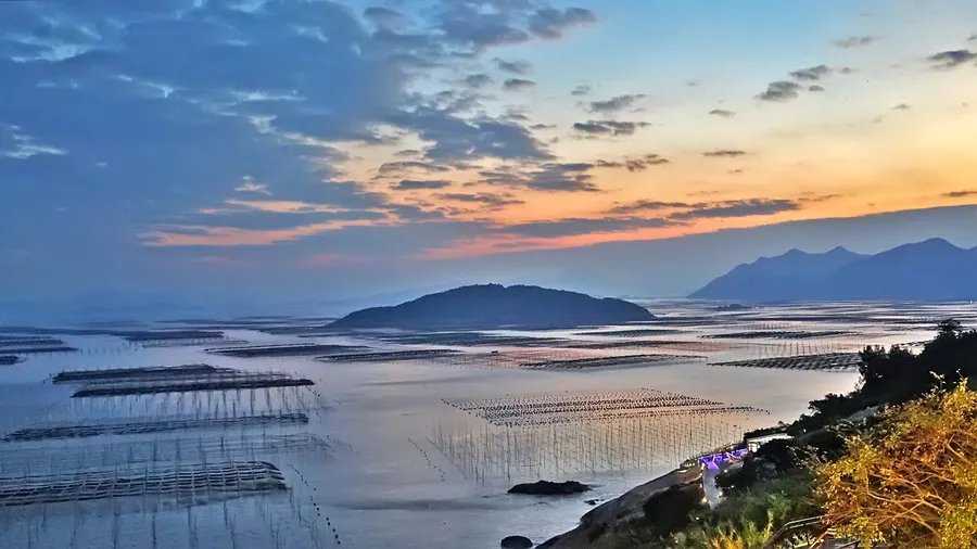 9329e6f6789ba8e97988b038f21b90e4-sz_203858