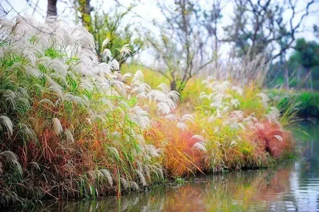 9345477cbc4418c3b2bcf528cd44eac1-sz_190193 9345477cbc4418c3b2bcf528cd44eac1-sz_190193