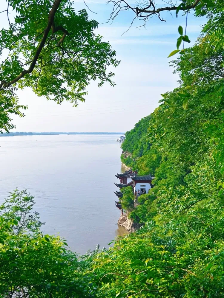 936d4076f9a2b635a40d1332c2bd6310-sz_3275240