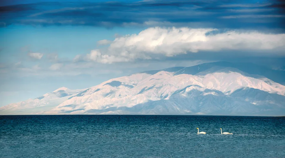 93a1530dd23aba5bdb5e5acba55e1796-sz_158340