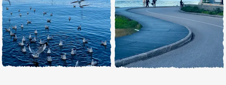 93b518dffeff0a7d762c27f297e268ff-sz_88533