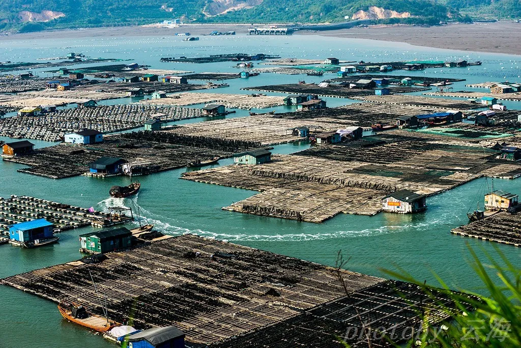 944a7c5b1795428e32c98c3aa93bb2bd-sz_393320