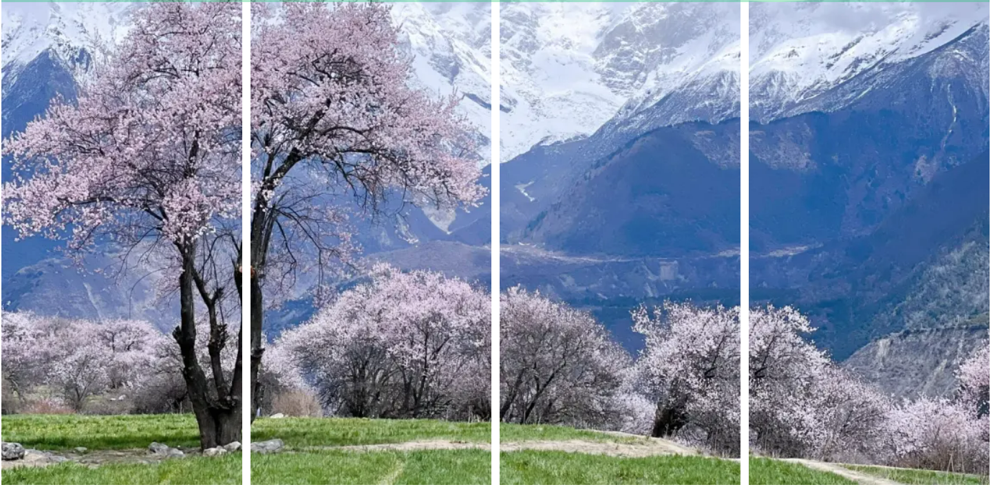 94b86a0f8c7c033e9f56b7952c316d43