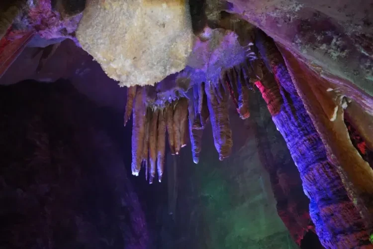 94c7dca2af5eaff646946712293f08d2-sz_94501