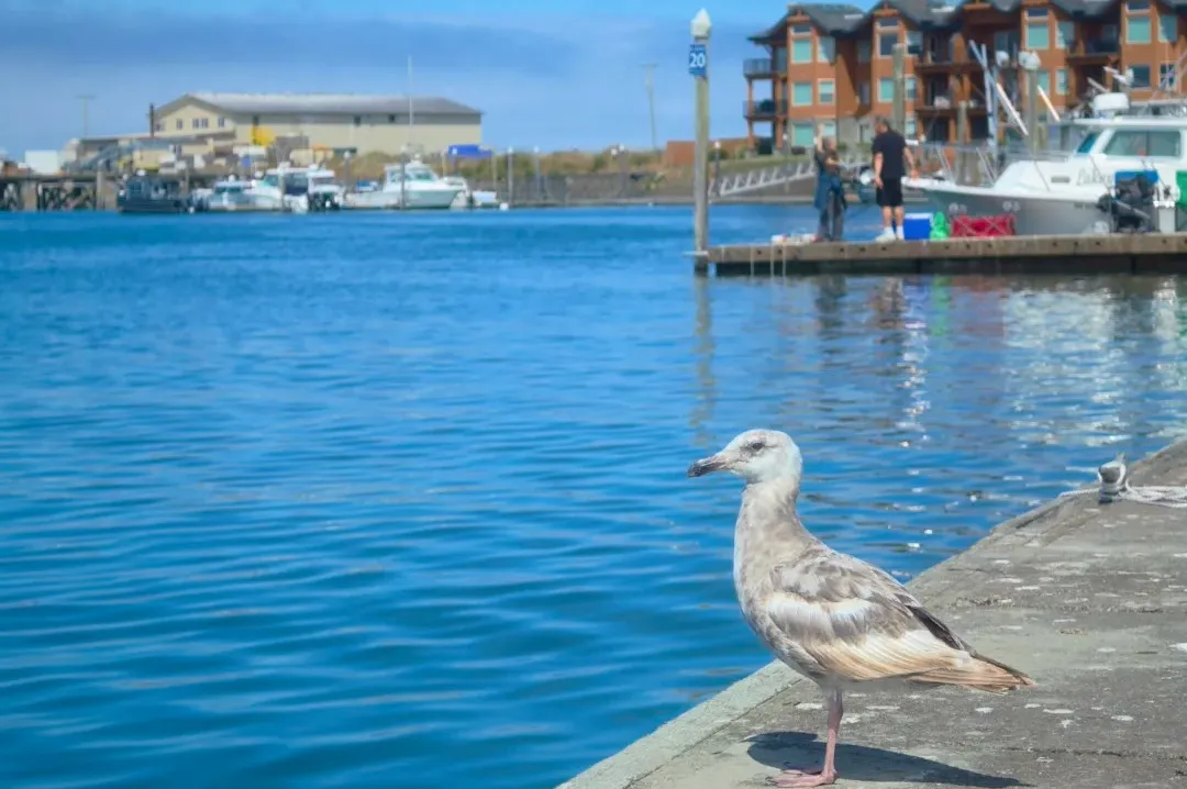 94e7c3a4e44f29244dbc998ddab7d6ec-sz_298516-1