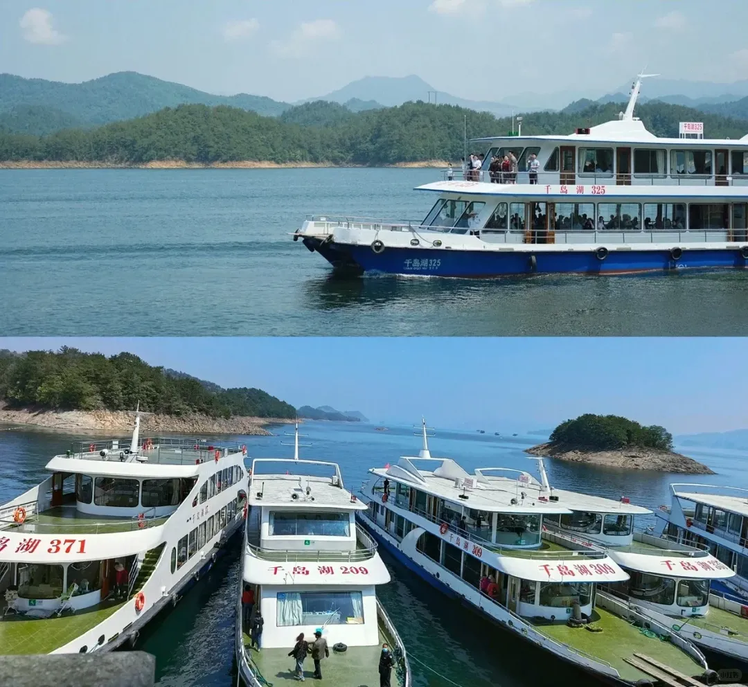 9566352f86cc9bb1a65dd3eb9b10a764-sz_3014104