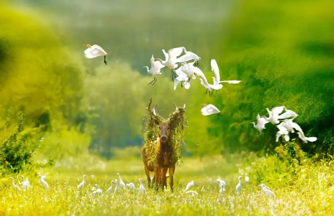 95982502fc628f9a1d5898c56340bb13-sz_132673