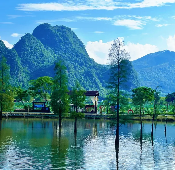 95a848409f925e2da44eb20a52a6165b-sz_912080-1 95a848409f925e2da44eb20a52a6165b-sz_912080-1