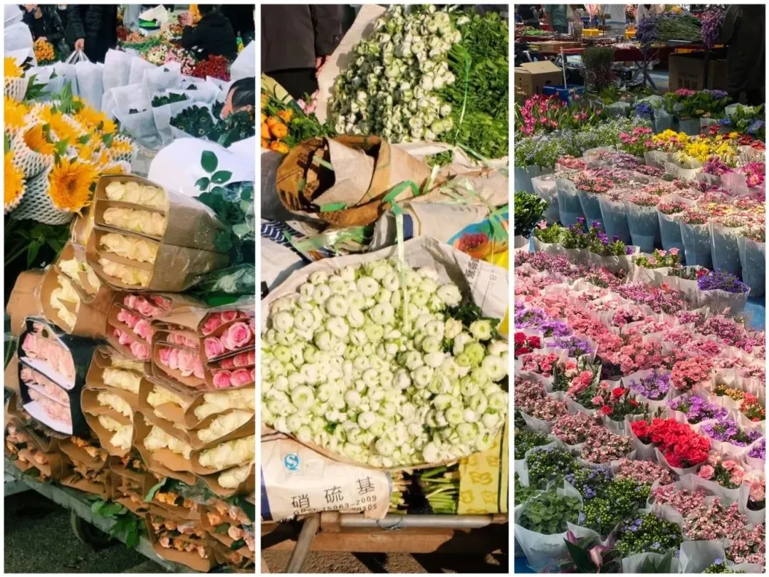 95c4882defd06bb4dbf605ca37fe16a9-sz_225255