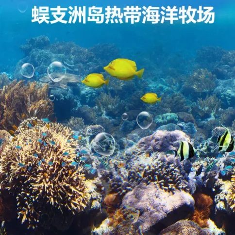 95c87582ffe3d35cde670fa60f219034-sz_3228924-1