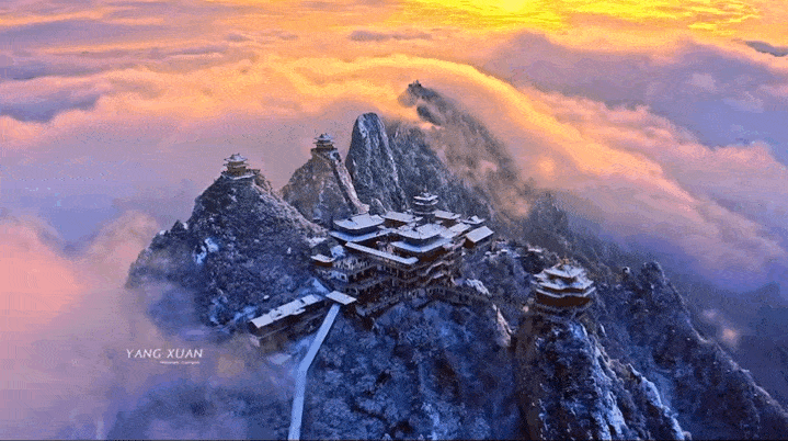 95cc5cad1fac651b2c4aab65b892508f-sz_2213721